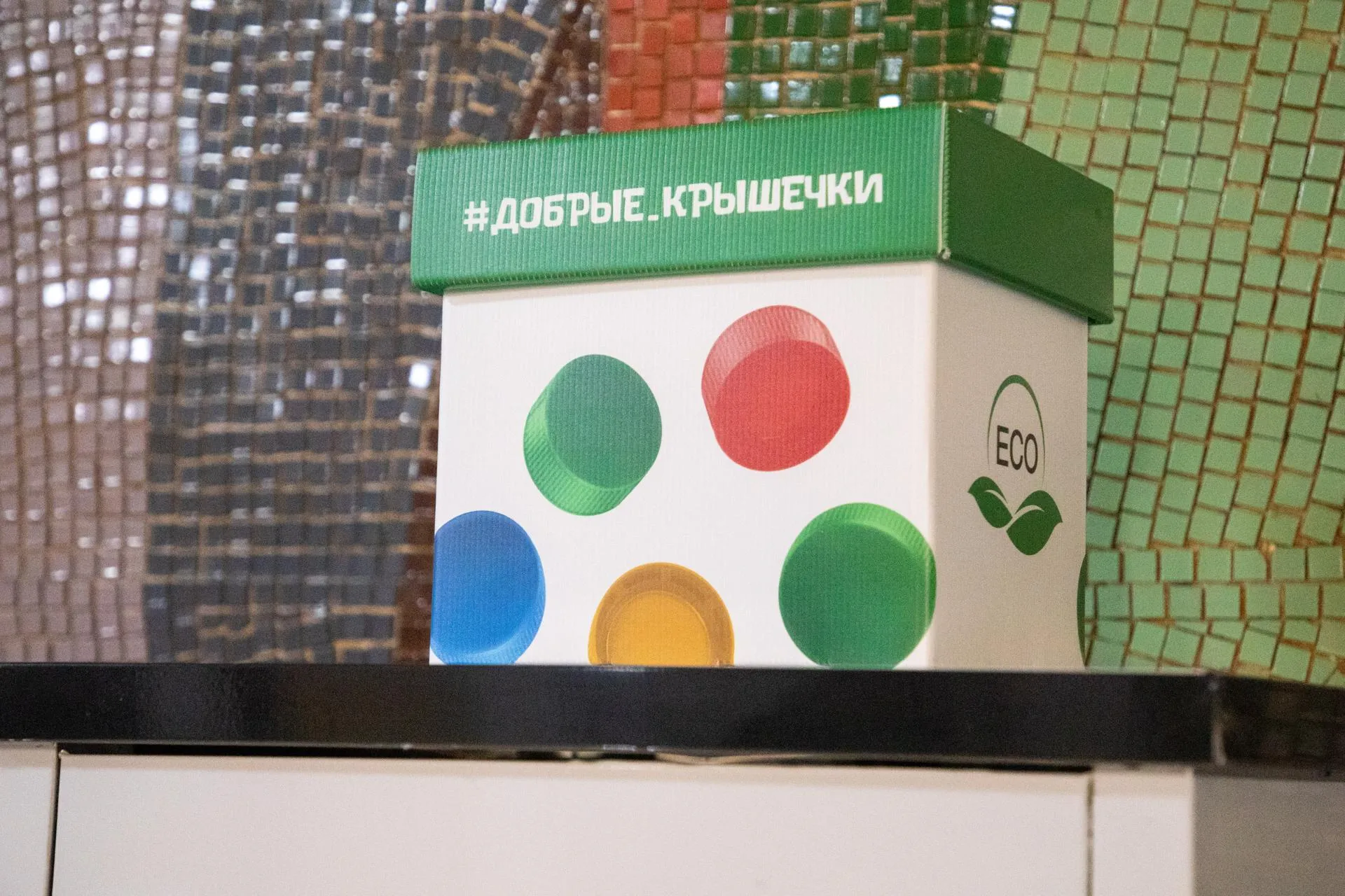 Фото: Анастасия Харченко