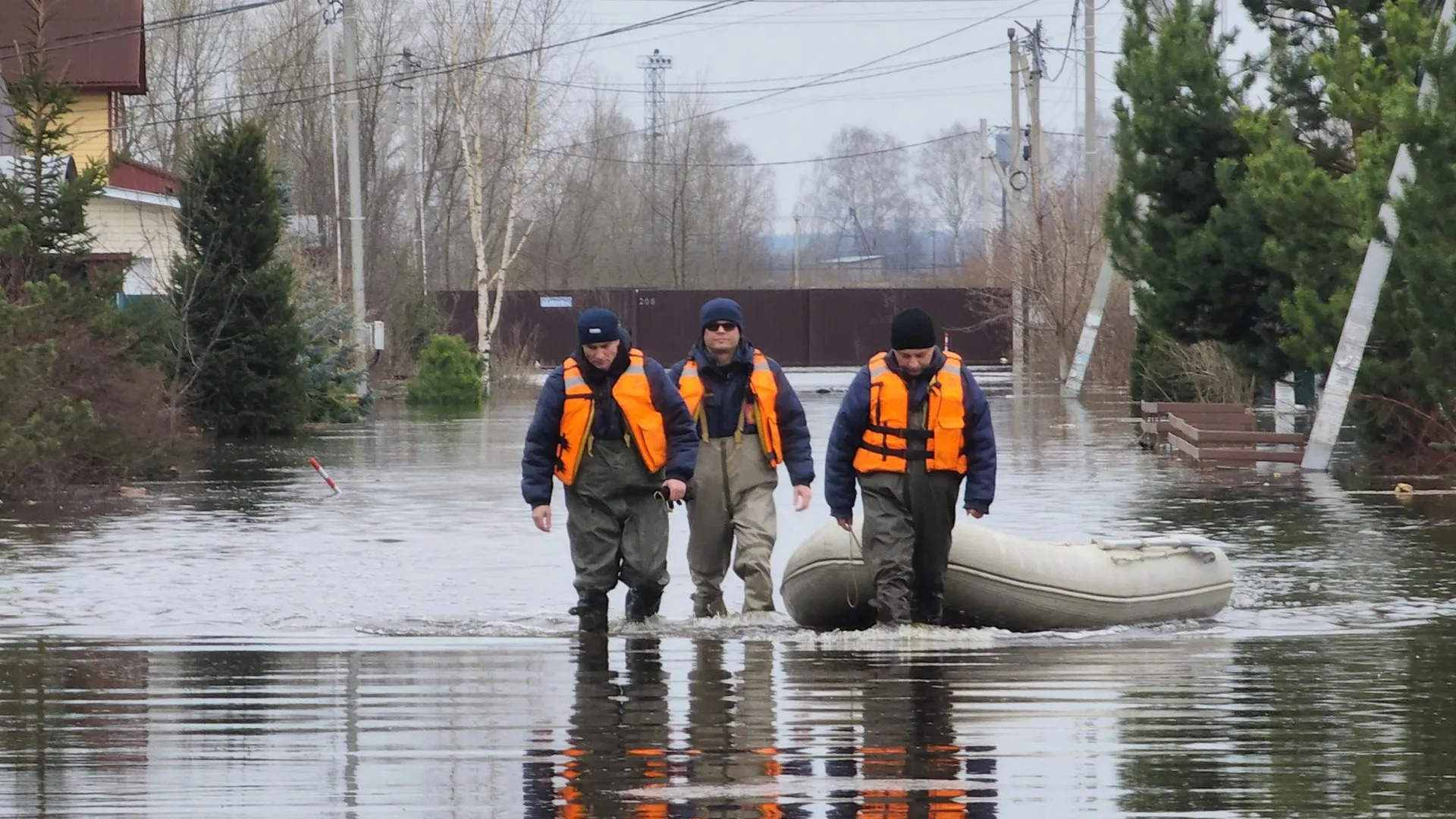 Фото: Светлана Плотникова