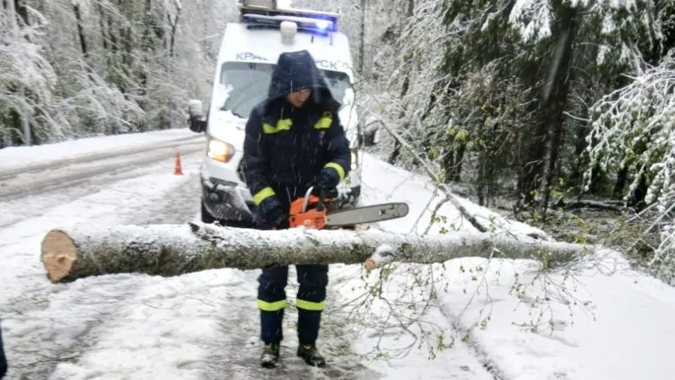 Фото: пресс-служба администрации г. о. Красногорск