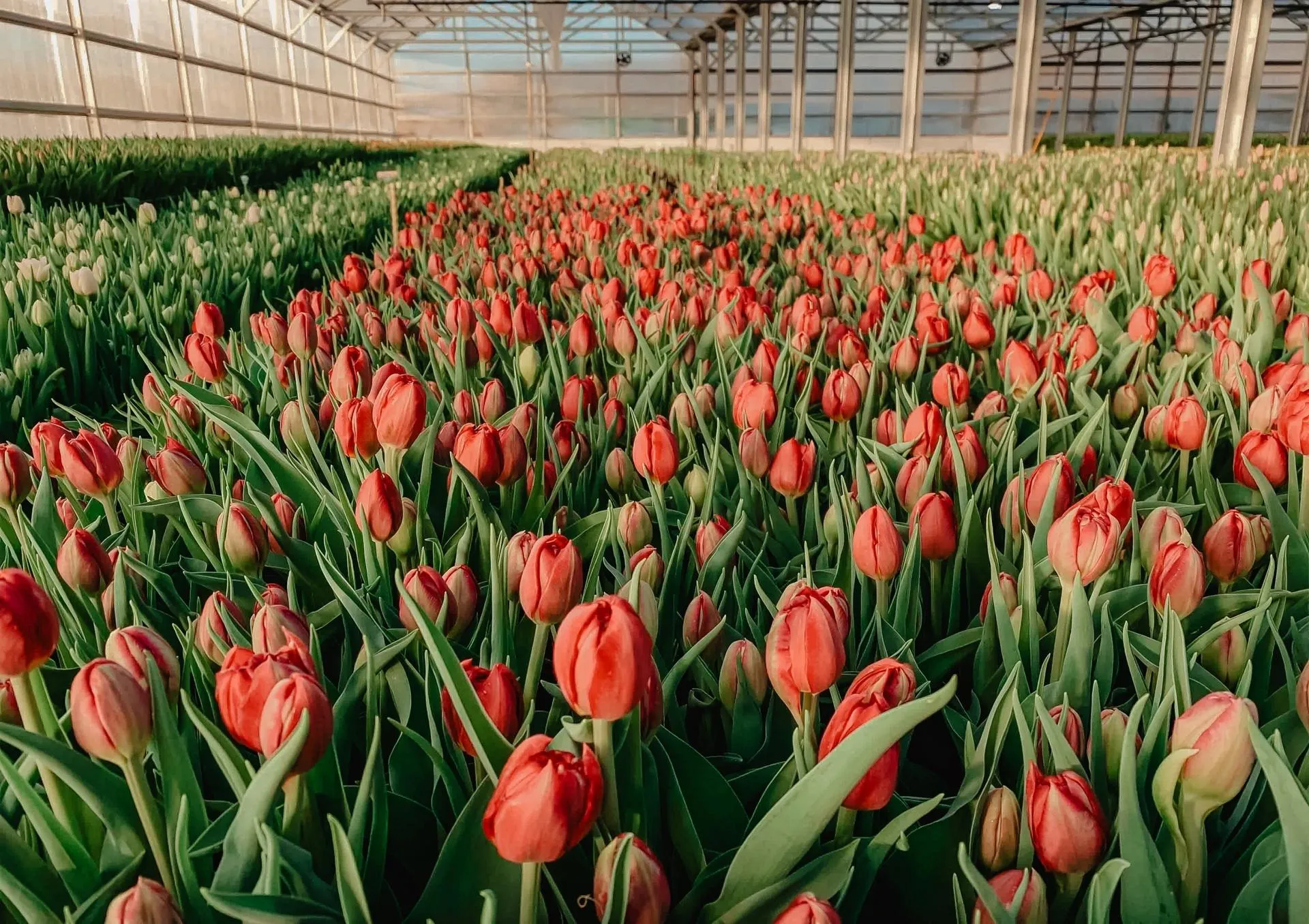 пресс-служба администрации г.о. Химки