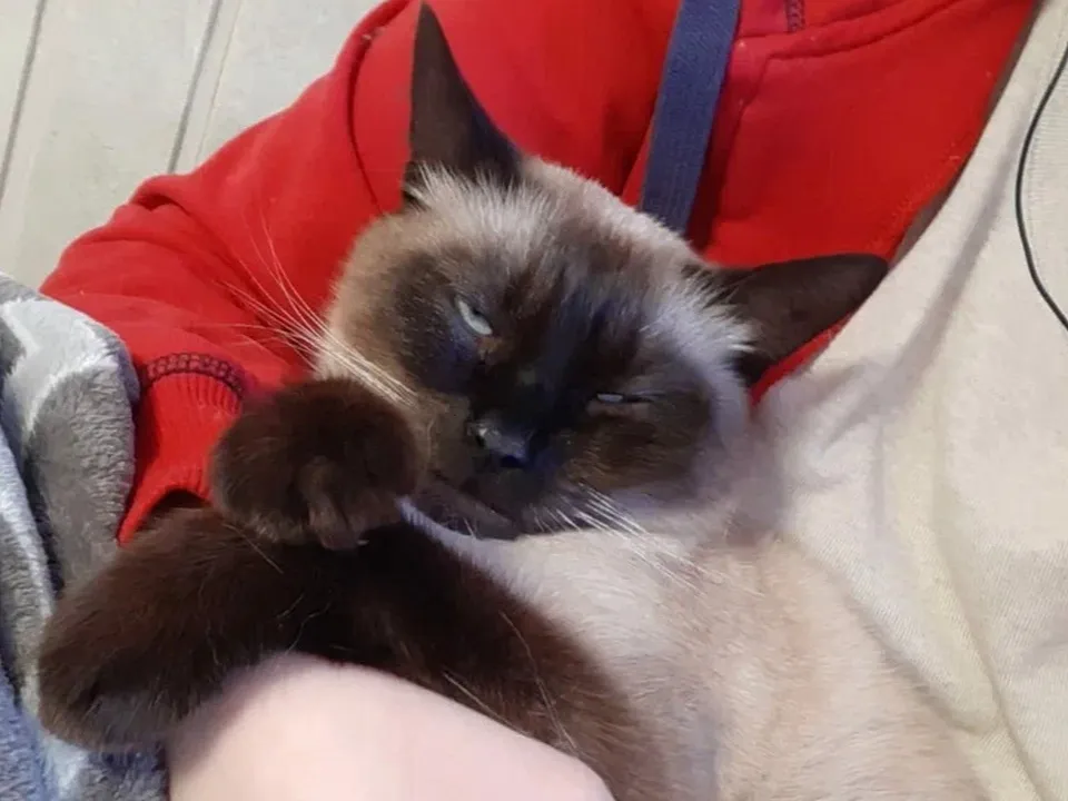 Фото: REGIONS/Наталия Надточая