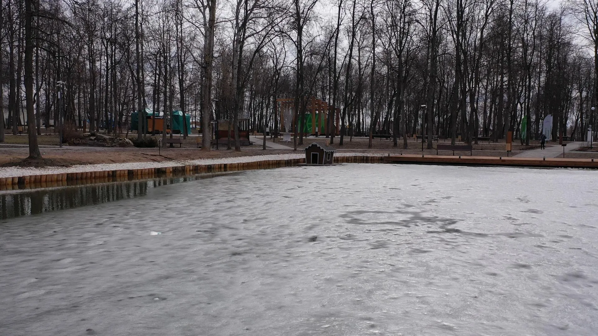 Дарья Московцева