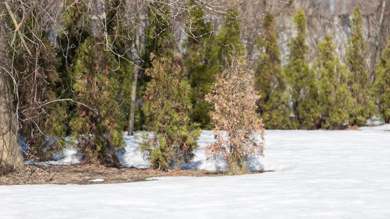 REGIONS/Роман Малышенко