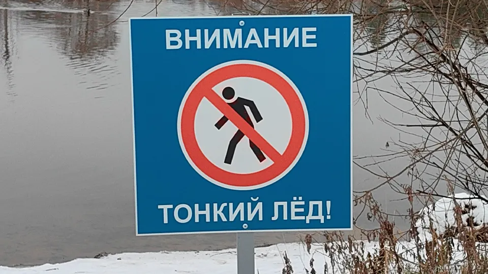 Фото: МедиаБанк Подмосковья/Елена Катасонова