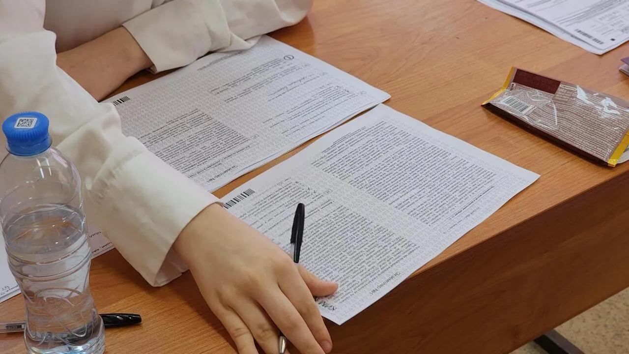 REGIONS/Валерия Тингаева