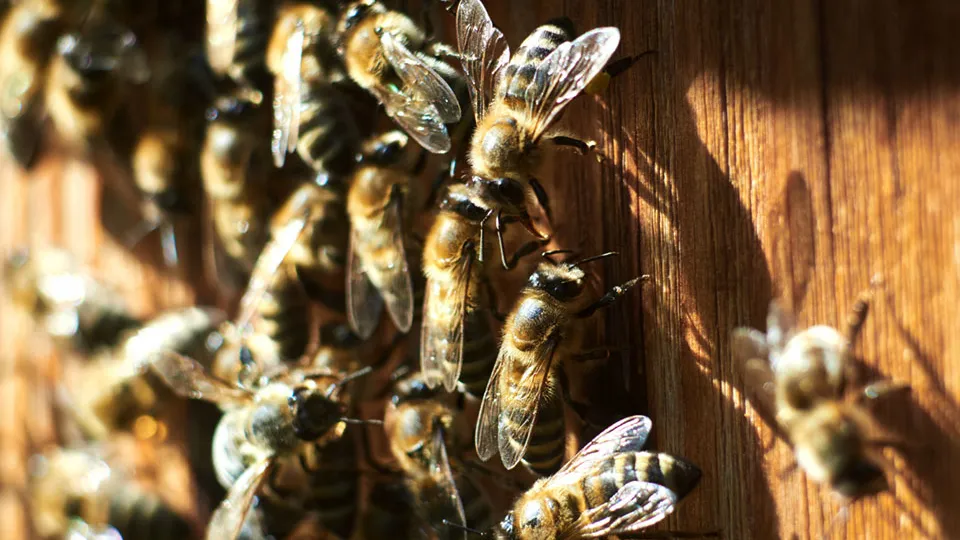 Фото: freepik.com