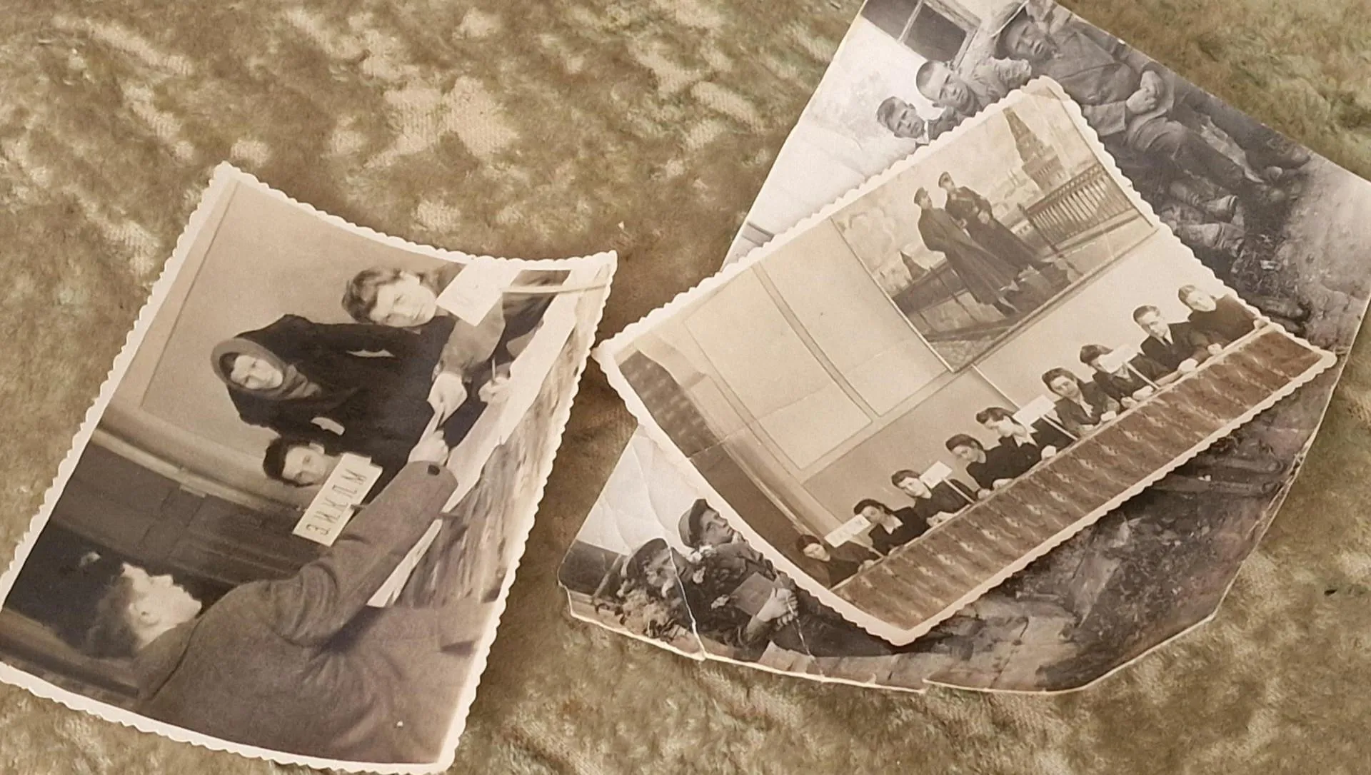 REGIONS/Ольга Шаронова