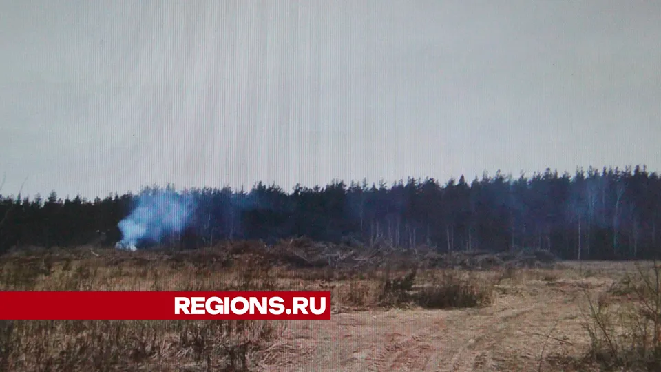 Фото: REGIONS/Василий Тремасов