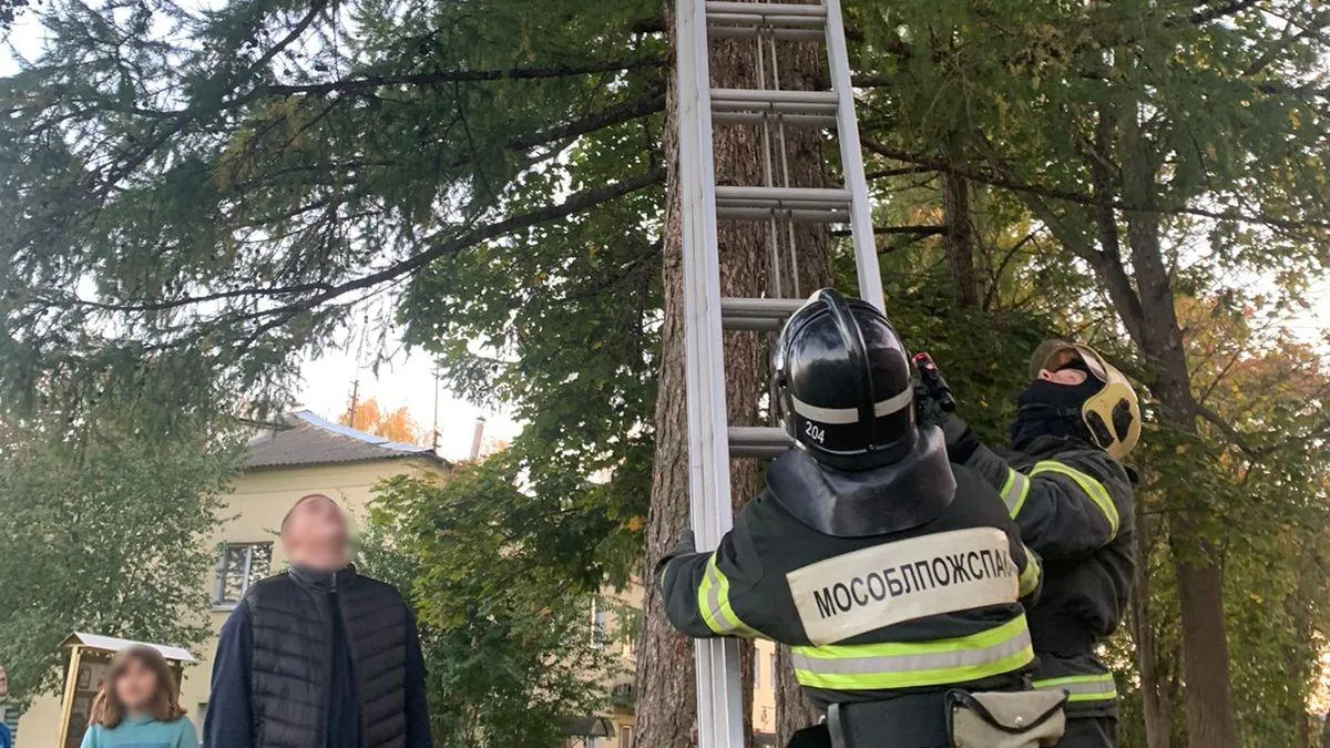 Фото: «Мособлпожспас»