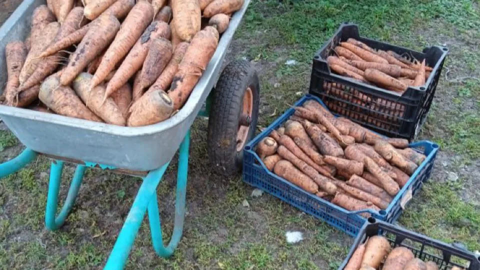 Фото: Ирина Горбачева