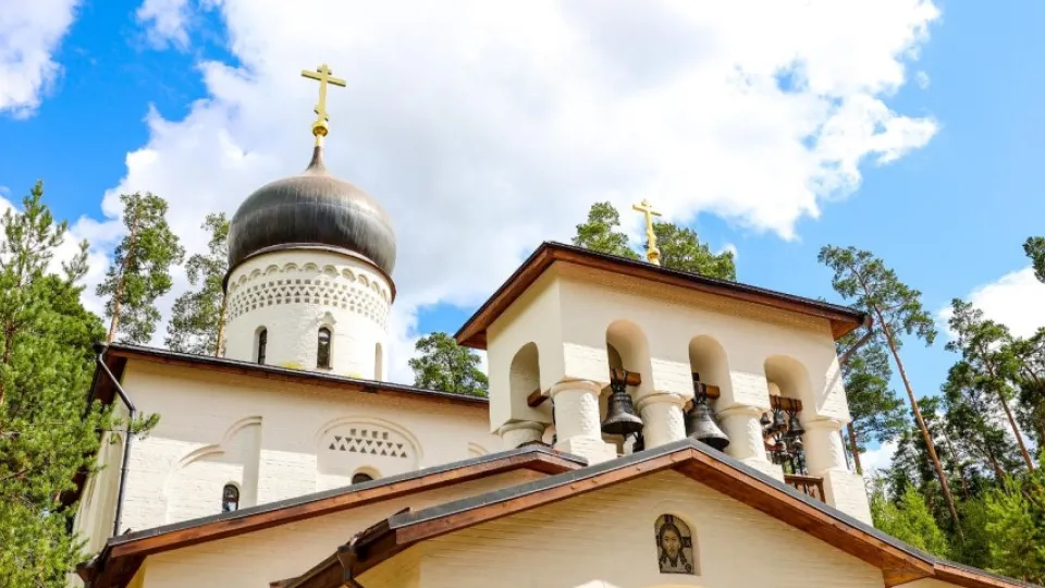 Фото: пресс-служба администрации г.о. Красногорск