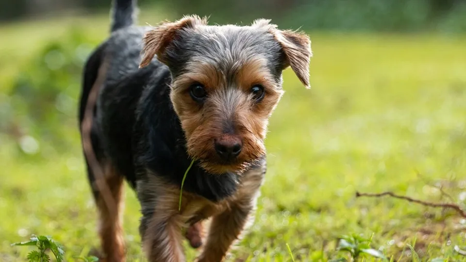 Фото: freepik.com