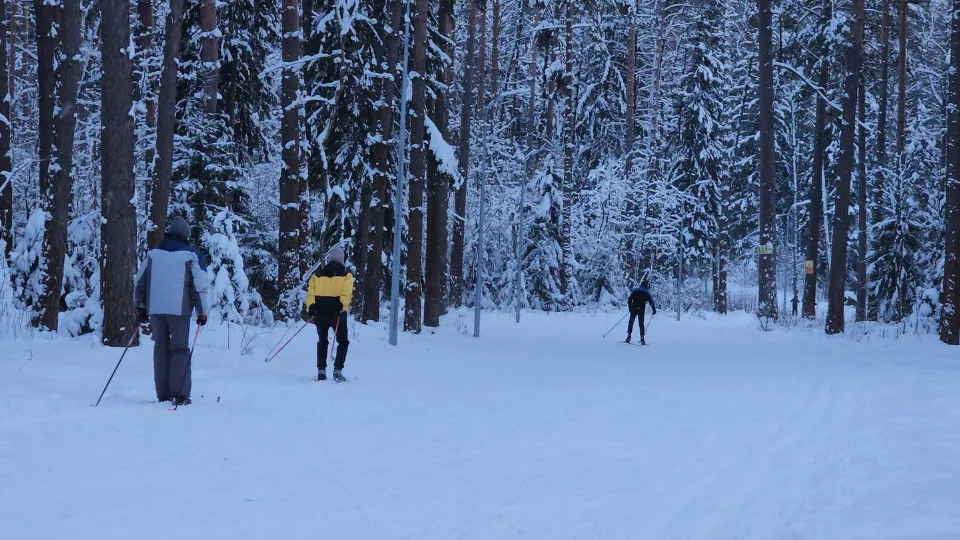 Фото: МедиаБанк Подмосковья/Юлия Андросова