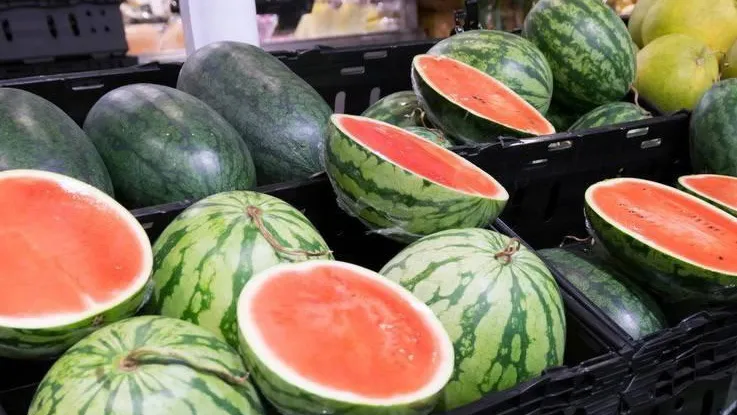 Специалисты Госветслужбы Подмосковья проверили три тысячи арбузов и дынь на безопасность