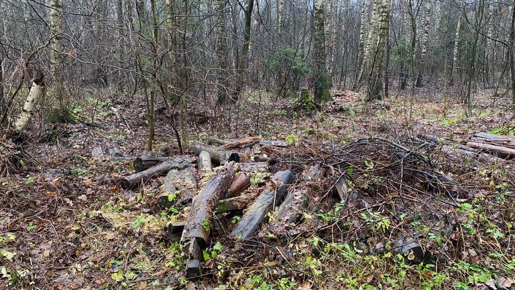 Комитет лесного хозяйства МО