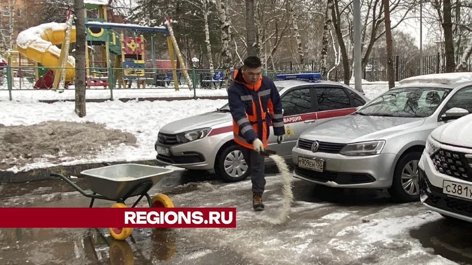 Фото: Екатерина Морозова