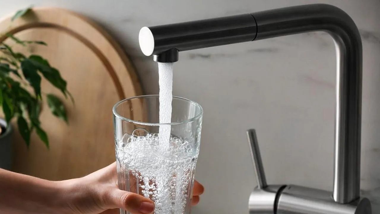 istockphoto.com/Liudmila Chernetska