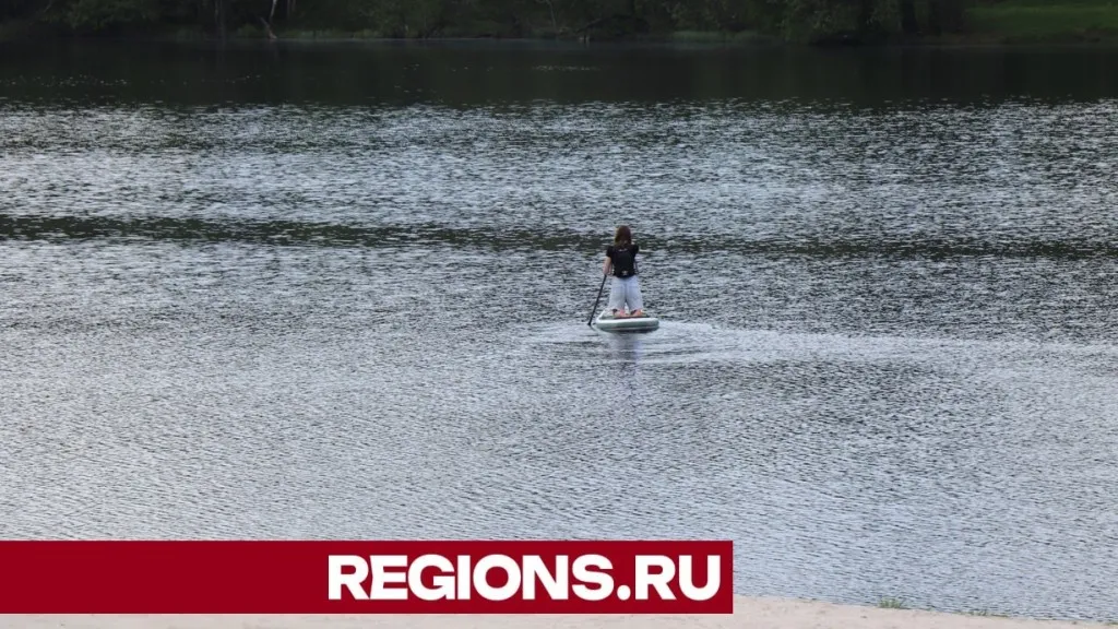 Фото: Василий Тремасов