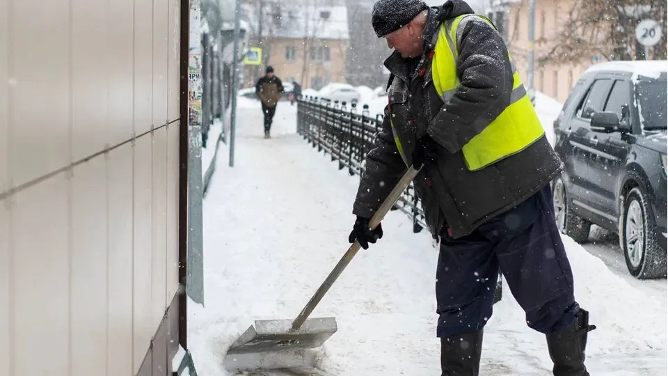 Фото: пресс-служба администрации г.о. Домодедово