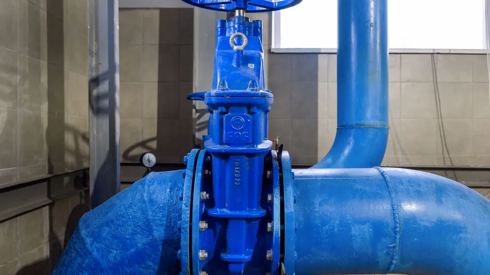 Фото: медиасток.рф