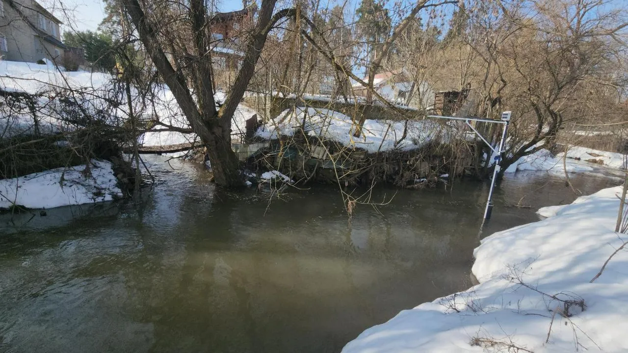 REGIONS/Кристина Ларина