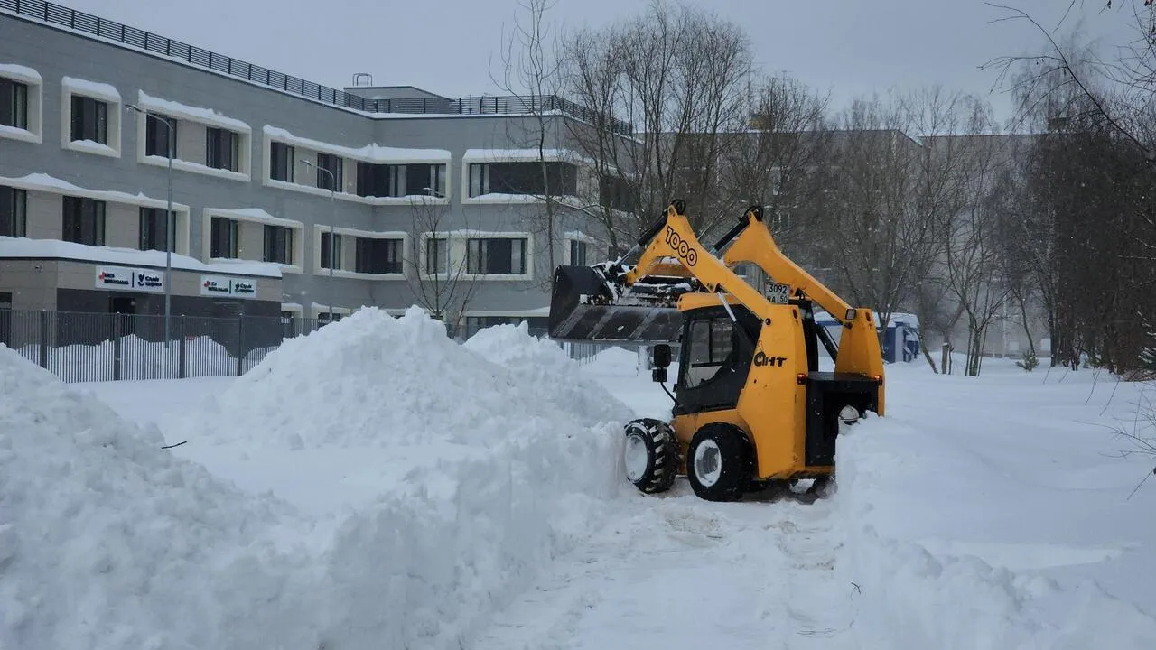 REGIONS/Валерия Тингаева