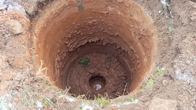 Фото: Минэкологии МО