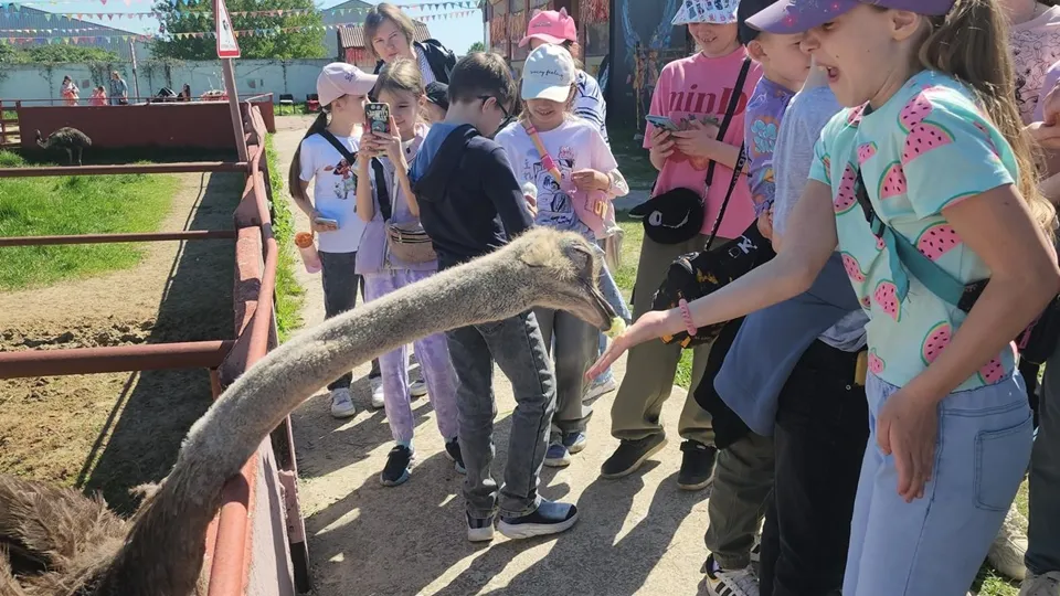 Фото: REGIONS/Александр Степушкин