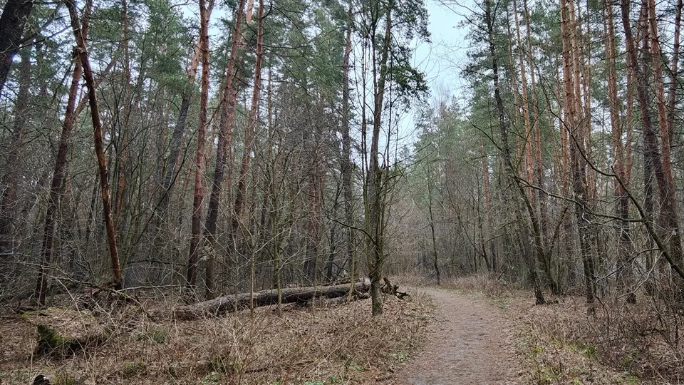 Фото: REGIONS/Алексей Селиверстов