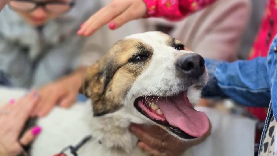 Фото: Яна Шаливская