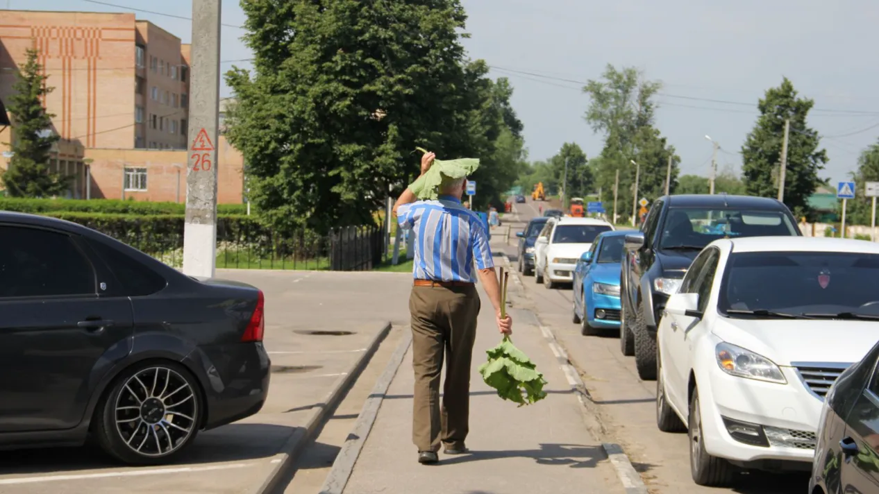 Фото: медиасток.рф