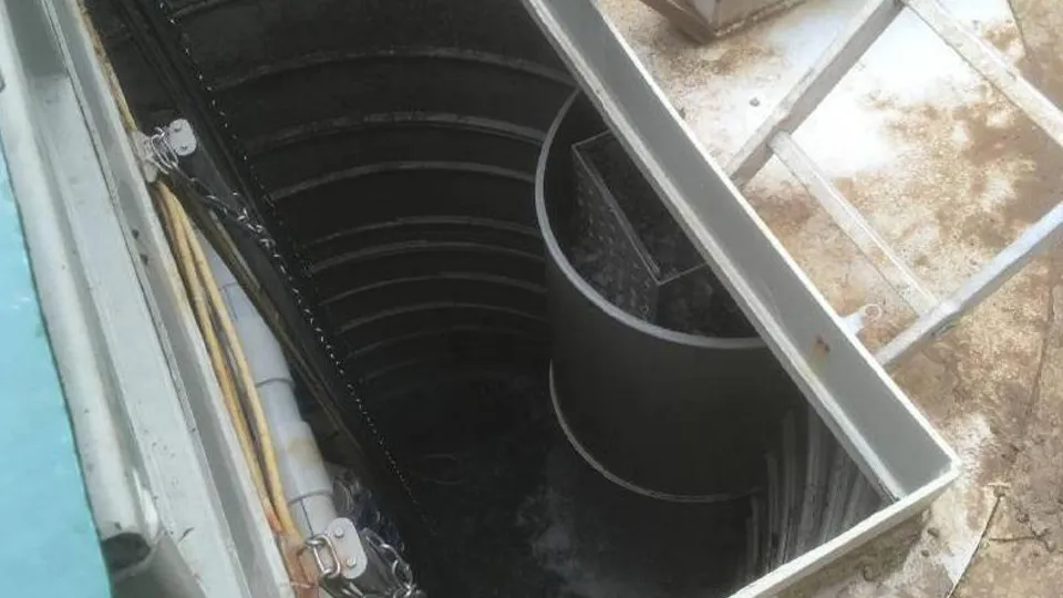 Фото: Министерство экологии и природопользования Московской области