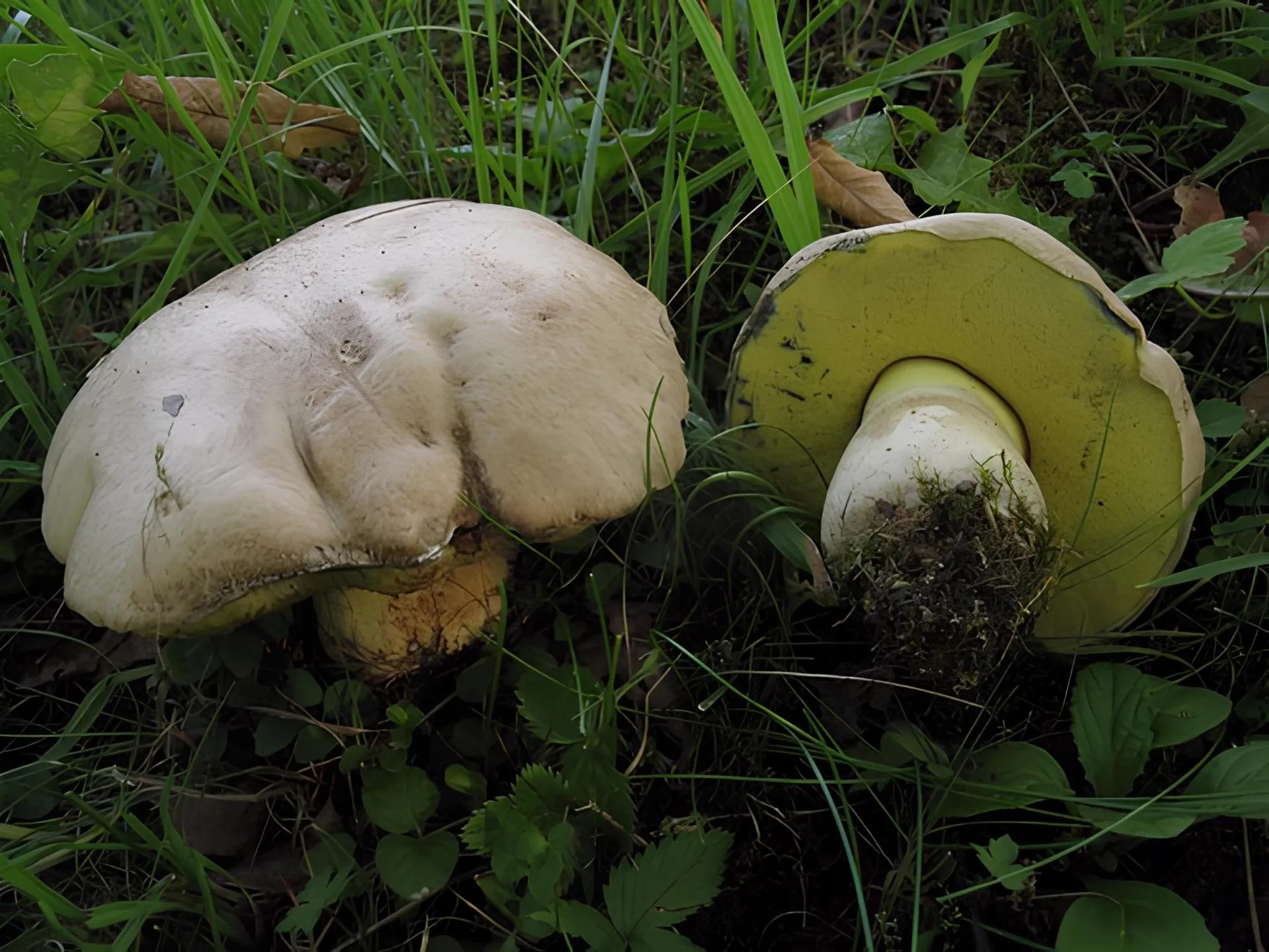 Министерство экологии и природопользования Московской области