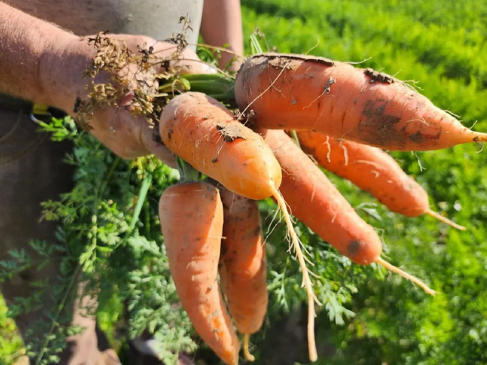 Фото: Яна Шаливская