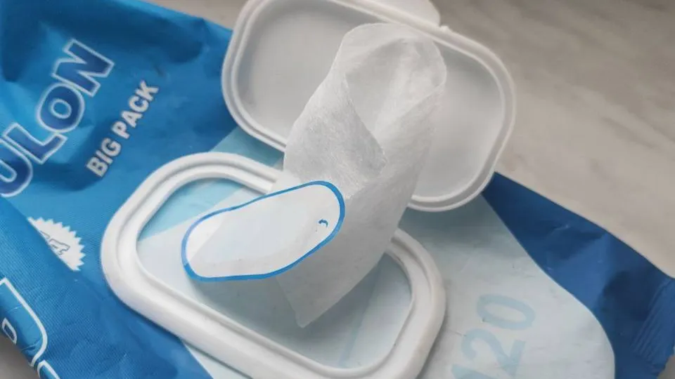 Фото: REGIONS/Марина Коркина