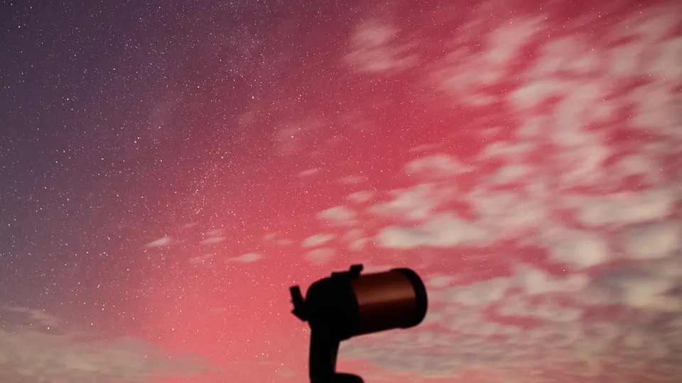 Фото: ТАСС/Иван Высочинский