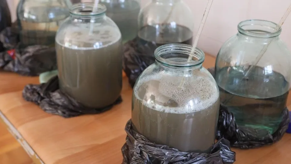 Фото: пресс-служба администрации Сергиево-Посадского г.о.