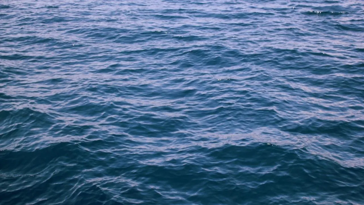 Выживание в Охотском море: история Михаила Пичугина