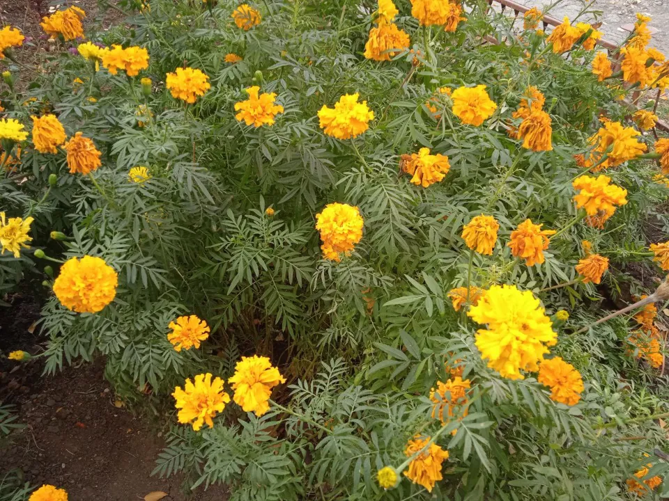 Фото: REGIONS/Юлия Куделькина