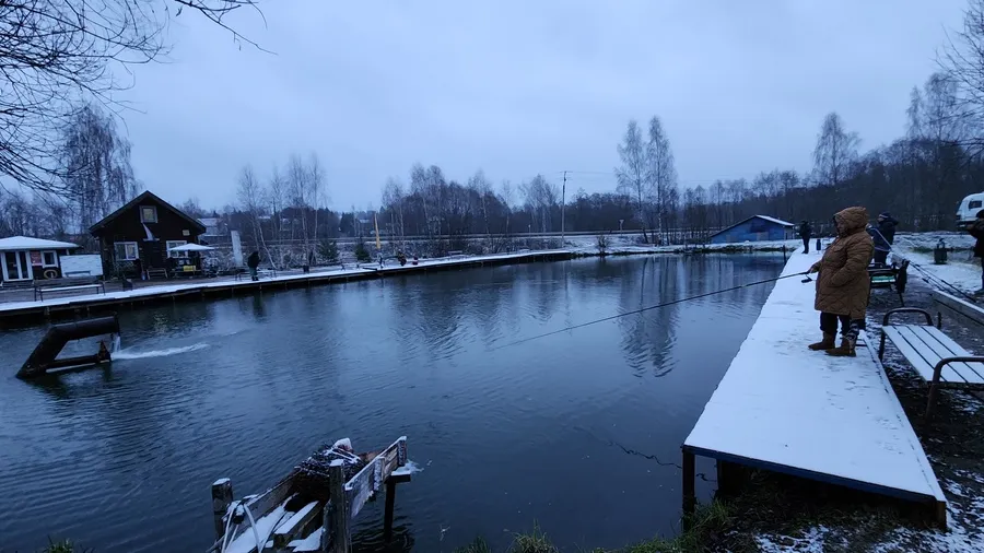 Фото: медиасток.рф