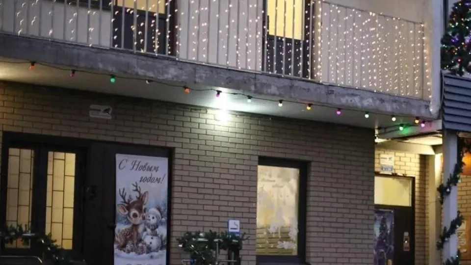 Фото: администрация Богородского городского округа