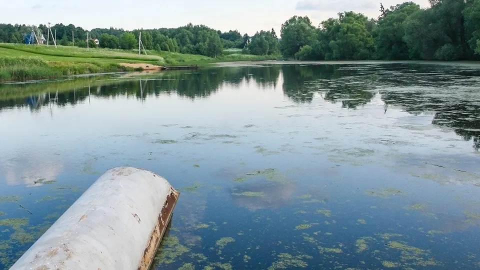 Фото: пресс-служба Администрации г.о. Кашира