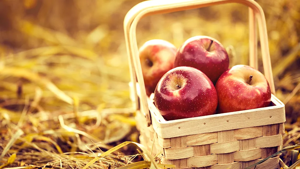 Фото: freepik.com