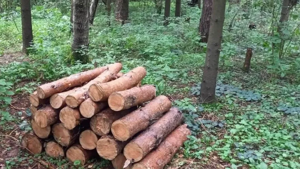 Фото: пресс-служба администрации м.о. Истра