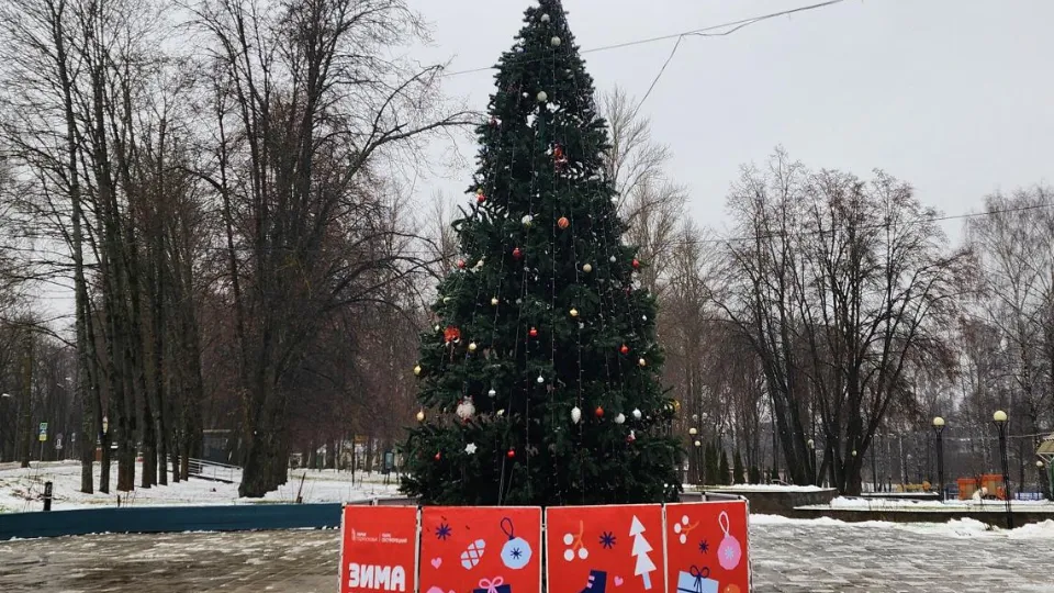 Фото: МедиаБанк Подмосковья/Валентина Максимова