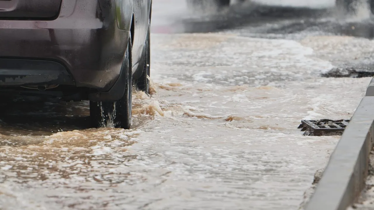 istockphoto.com/Mikhail Davidovich