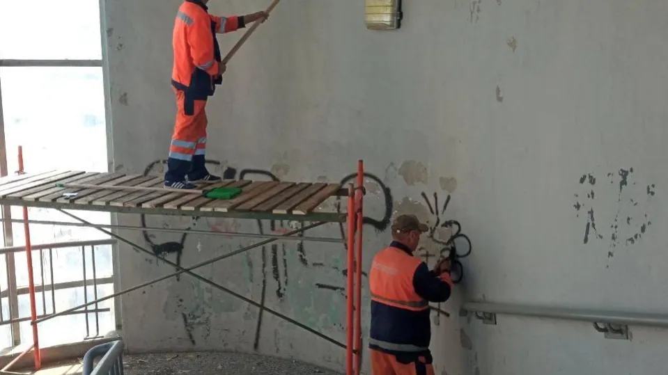 Фото: Минтранс МО