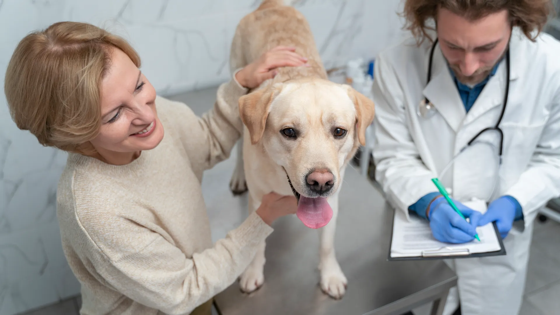 Источник: ru.freepik.com