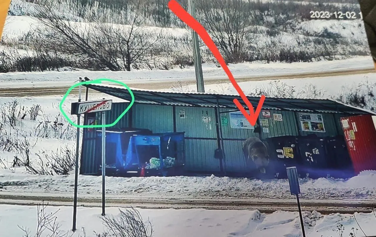 фото:соцсети