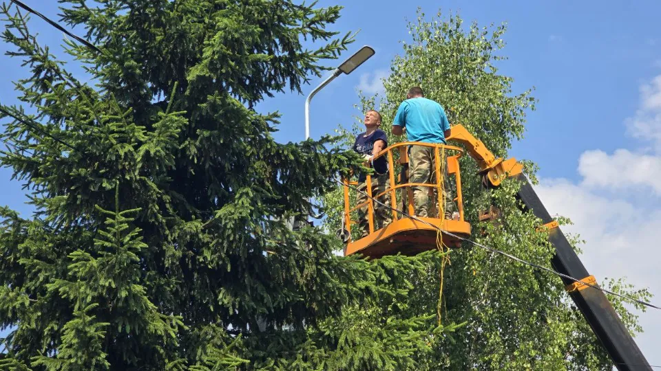 Фото: МедиаБанк Подмосковья/Яна Шаливская